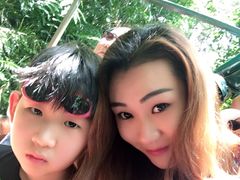 -热带雨林自然公园