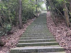 -午潮山国家森林公园