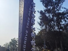 -宝安西湾红树林湿地公园