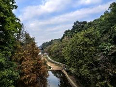 -广州市帽峰山景区