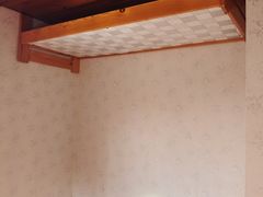 -金山农民画村-枫泾波兰倒置屋