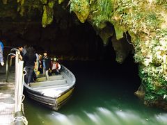 -怀托摩萤火虫洞