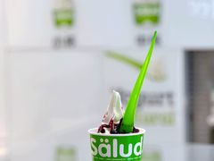 -Salud撒露欧洲冻酸奶(蓝色港湾店)