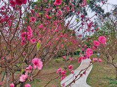 -桃花涧