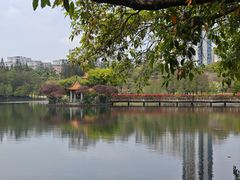 -深圳龙潭公园
