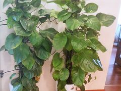 -慢妙云端·SPA会所
