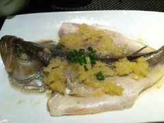 清蒸海鲈-禾气食店