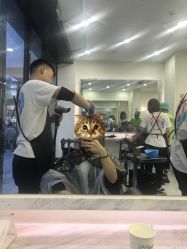 -3AM HAIR SALON烫发染发接发