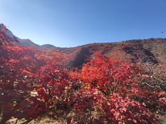 -水峪民俗村