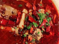 渝信毛血旺-渝信川菜(西单店)