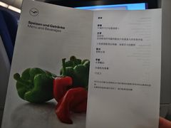 -德国汉莎航空公司