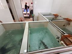 -贡椒鱼老店·雅安十大名店