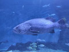 -多彩贵州城极地海洋世界