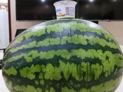 -庞各庄翠芳园西瓜蔬菜基地采摘园