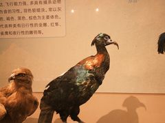 -台州博物馆