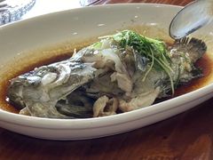 -顺德了能馆(虎门店)