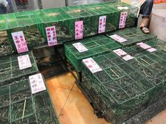 -荔城生鲜盛宴(番禺旗舰店)