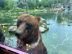 -北京野生动物园