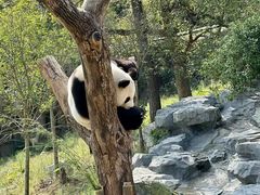 -宁波野生动物园