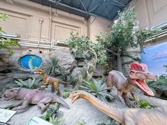 -国家自然博物馆