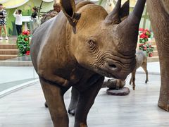 -陕西自然博物馆