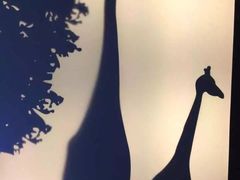 -罗莎蛋糕(喜乐地店)