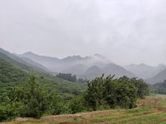 -天源渔港农庄