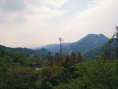-木兰云雾山