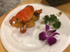 -割烹旭日本料理(龙湖狮山天街店)