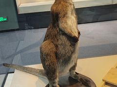 -国家自然博物馆