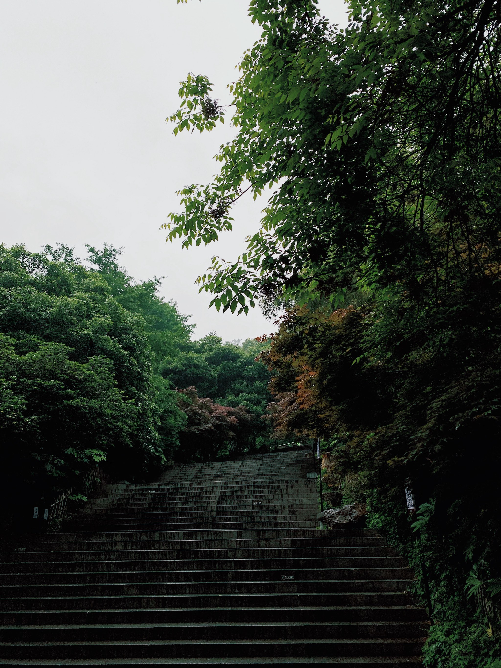 岳麓山风景照图片