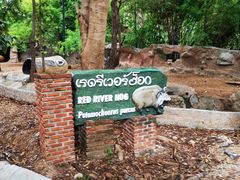 -清迈夜间动物园