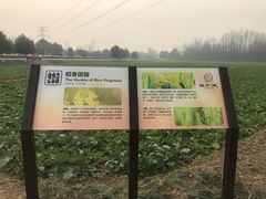 -桤木河湿地公园