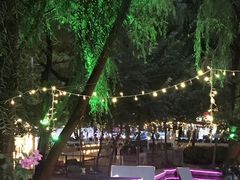 -枫花园汽车电影院(朝阳公园店)