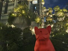 -月星家居广场-路面停车场