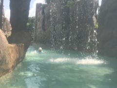 -新加坡水上探险乐园
