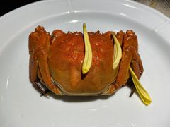 -成隆行·蟹王府(九江路店)