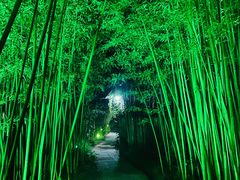 -竹泉村旅游度假区