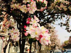 -天津五大道文化旅游区