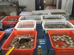 -87号烧烤海鲜·大排档(金沙滩店)