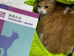 -美联众合动物医院·24h京西诊疗中心