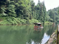 -龙苍沟森林公园