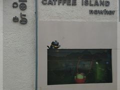 -喵屿·大理花园猫咖