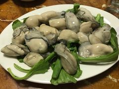 -金砂阿洲鱼册店