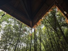 -云碧峰国家森林公园