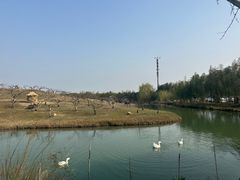 -乌村