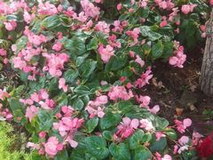 -平安里(地铁站)