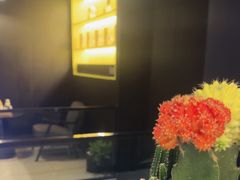 -梵猫·新养生(鹭江大同店)