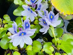 -青州市云门山风景区