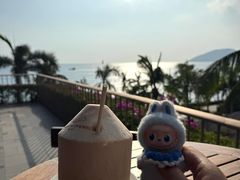 -日落吧·海景咖啡厅·餐酒吧·鸡尾酒·下午茶·乐队表演·浪漫夕阳·三亚文华东方酒店